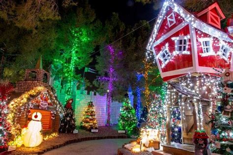 The Mesmerizing Lights of Opportunity Village's Las Vegas Magical Forest